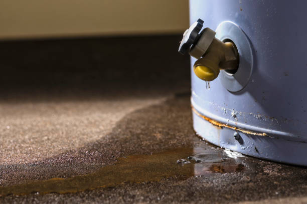 Indian Shores, FL Water damage restoration Company