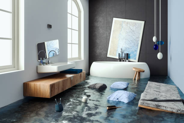 Best Professional water damage repair  in Indian Shores, FL