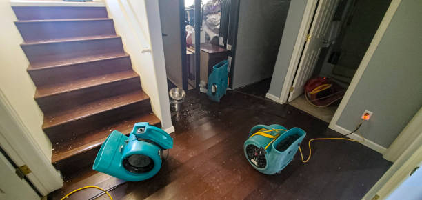 Best Commercial water damage restoration  in Indian Shores, FL