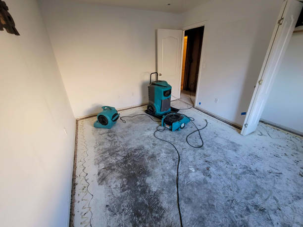 Best Flooded house restoration  in Indian Shores, FL