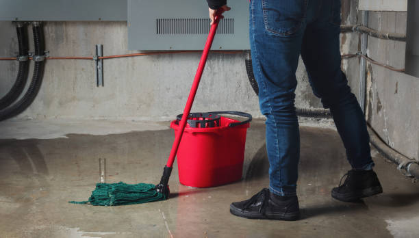 Best Carpet water damage restoration  in Indian Shores, FL