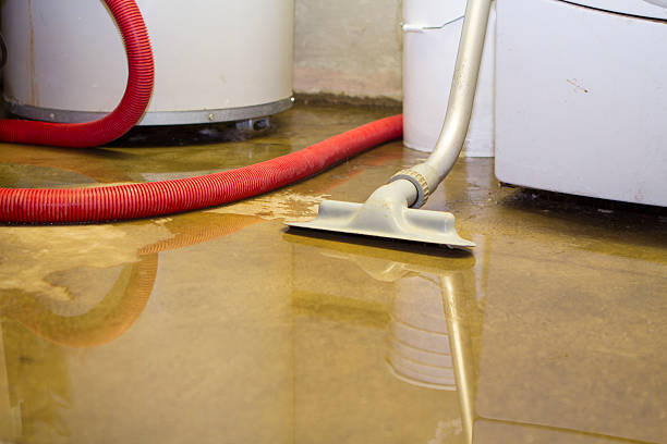 Best Water damage restoration near me  in Indian Shores, FL