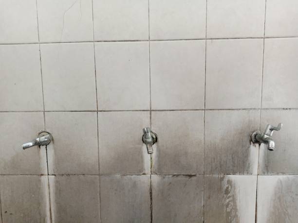  Indian Shores, FL Water damage restoration Pros