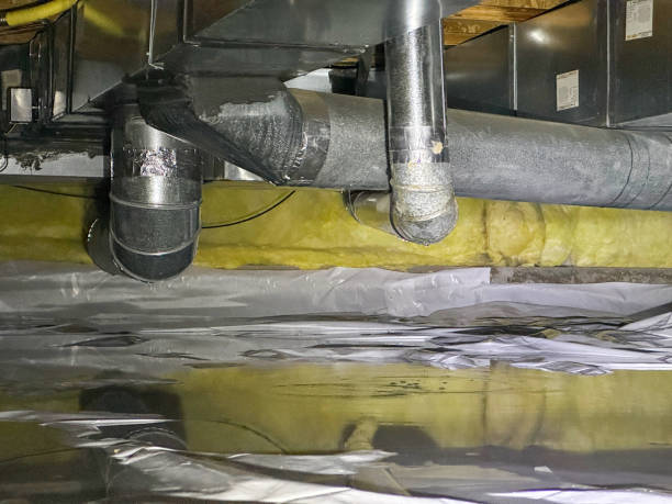 Best Flood damage cleanup  in Indian Shores, FL