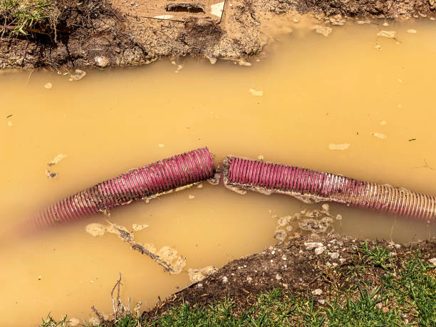 Water damage restoration insurance claims in Indian Shores, FL